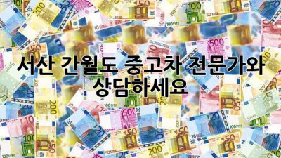 서산 간월도 중고차 전문가와 상담하세요!
